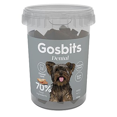 ������� ���� ���� ����� ���� ��� ����� ������ ����� ��� ����� 300 ��� Gostbits Dental