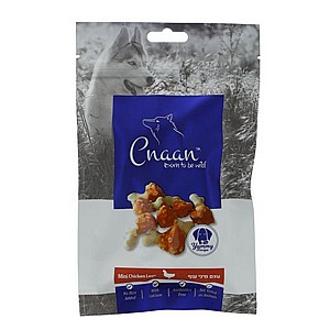 ���� ���� ��� ��� ���� 100 ��� Cnaan mini chicken
