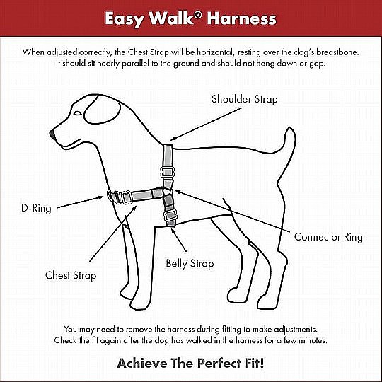 ������ �������� ���� ��� ���� ����/ ���� ������ EAZY WALK M/L