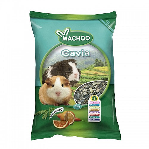 ���� ���� 1 �"� MACHOO Cavia