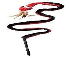 ���� ���� ����� ��� ��� Kong Snake Teaser