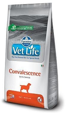 Convalescence 12 �"�