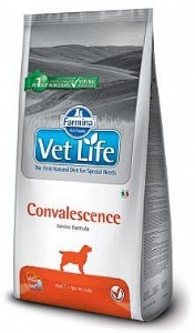 Convalescence 12 �"�