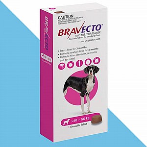 ������ ���� ������ ������� ������� ���� 40-56 �"� Bravecto