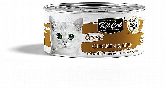 ��� �� ����� ����� ���� ��� ���� ����� 70 ��� Kit Cat Gravy Canned Food Chicken & Beef