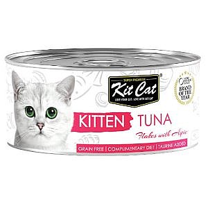 ��� �� ����� ����� ������ ���� ���� ���� 80 ��� Kit Cat Kitten Tuna