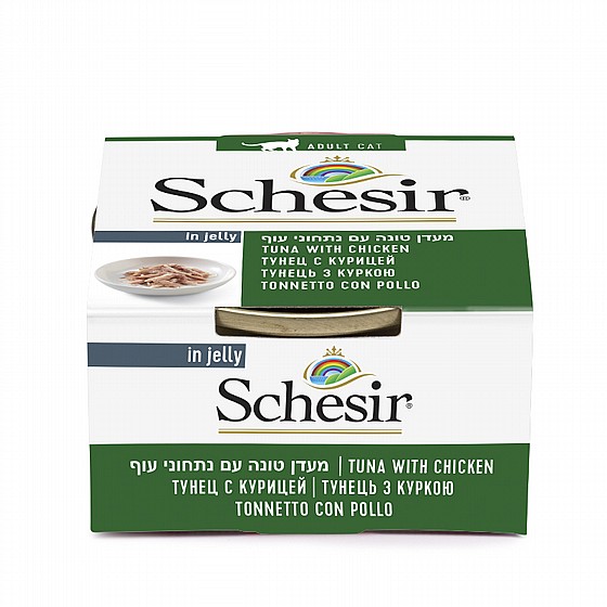 ���� ����� ����� ���� ���� �� ������ ��� ���� 85 ��� Schesir
