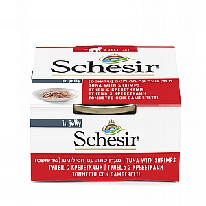 ���� ����� ����� ���� ���� �� ������ ��'�� 85 ��� Schesir