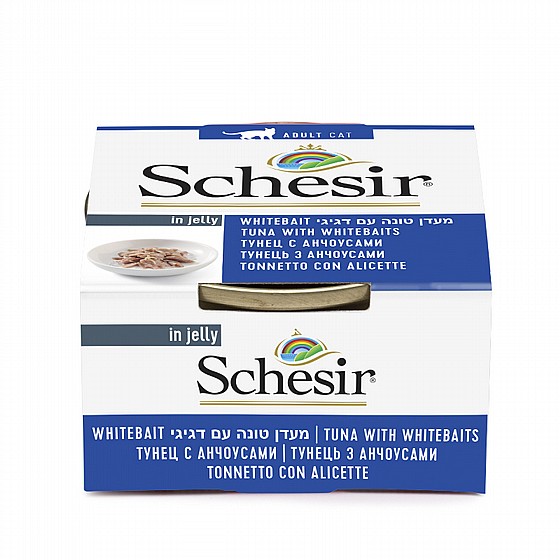 ���� ����� ����� ���� ���� �� �������� ���� 85 ��� Schesir