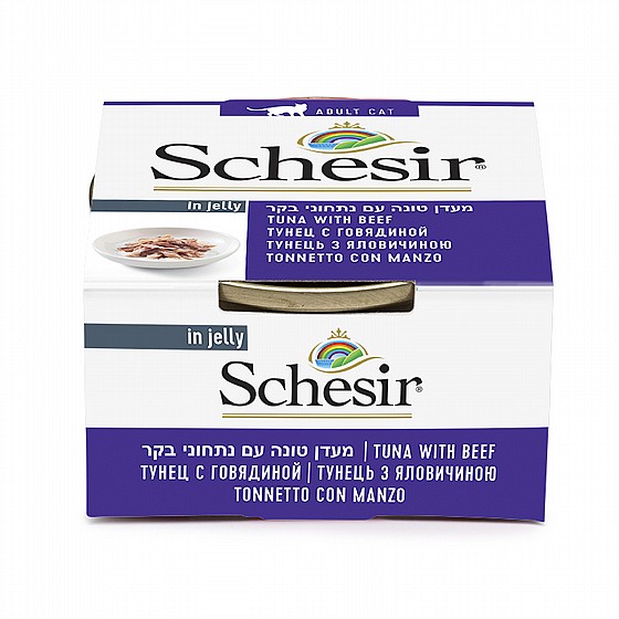 ���� ����� ����� ���� ���� �� ������ ��� ���� 85 ��� Schesir