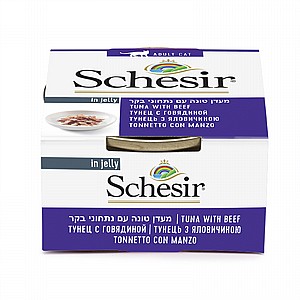 ���� ����� ����� ���� ���� �� ������ ��� ��'�� 85 ��� Schesir