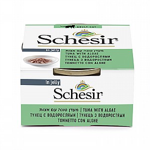 ���� ����� ����� ���� ���� �� ���� ��'�� 85 ��� Schesir
