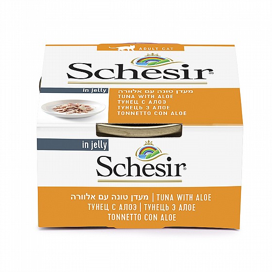 ���� ����� ����� ���� ���� �� ������� ���� 85 ��� Schesir