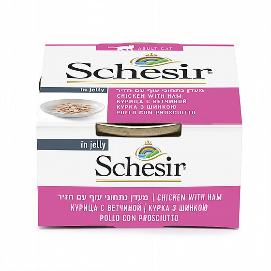 ���� ����� ����� ���� ������ ��� �� ���� ���� 85 ��� Schesir