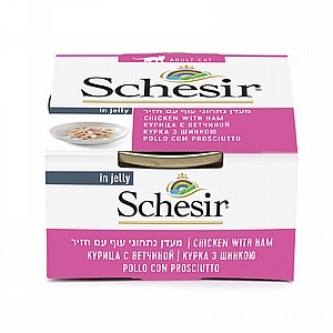 ���� ����� ����� ���� ������ ��� �� ���� ��'�� 85 ��� Schesir