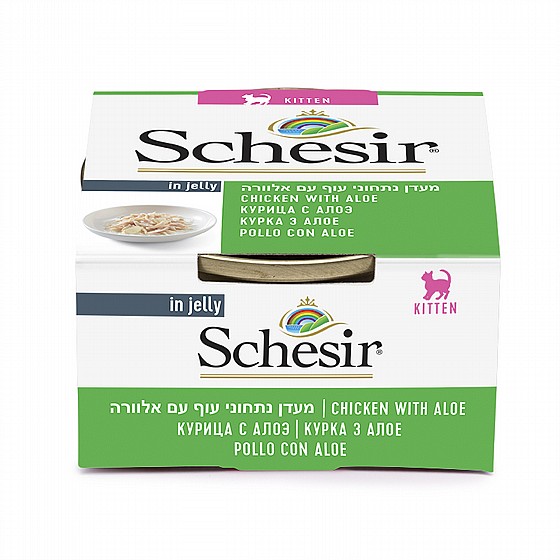 ���� ����� ����� ������ ���� ������ ��� �� ������� 85 ��� Schesir