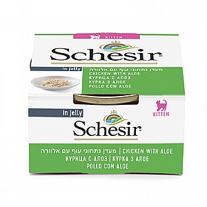 ���� ����� ����� ������ ���� ������ ��� �� ������� 85 ��� Schesir