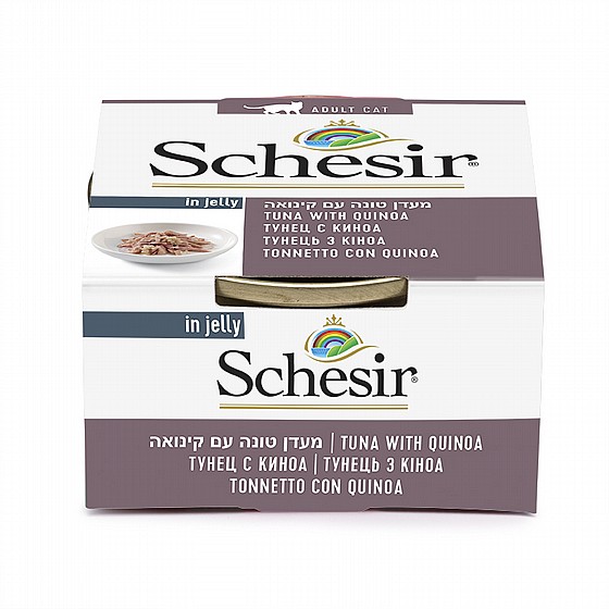 ���� ����� ����� ���� ���� �� ������ ���� 85 ��� Schesir